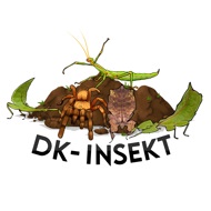 D.K-Insekt