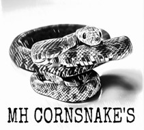 MH-Cornsnake's