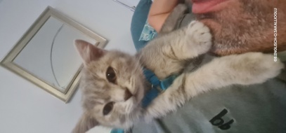 MissLilPrincess