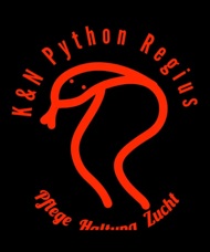 Python Regius  