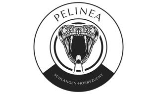 PeLinea.de