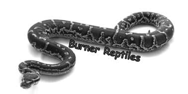 Burner-Reptiles