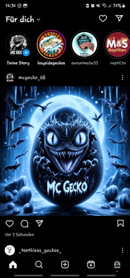 Mcgecko_68