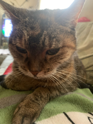 Petra und Peter Höfler