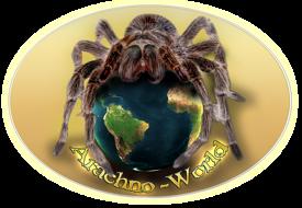 Arachno-World
