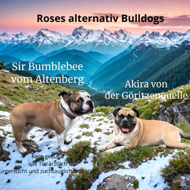 rosesbulldogs