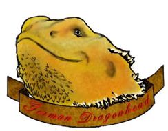 Bartagamen Hobbyzucht Nordhessen