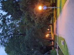 Fynsalabim