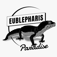 eublepharisparadise