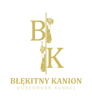 BLEKITNY KANION