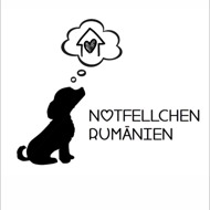 Notfellchen