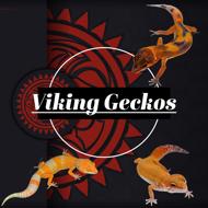 Viking Geckos