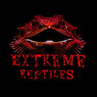 Extreme Reptiles 