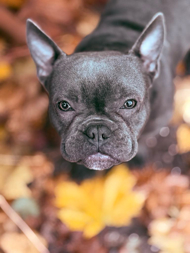 Ralf S