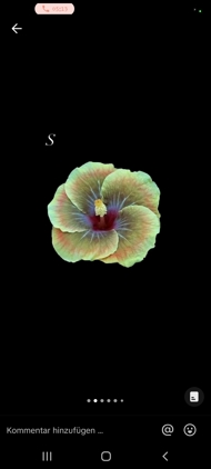 Salome Cabrera Sierra