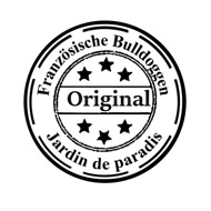 Fluffy Französische Bulldoggen