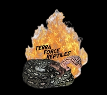 TerraForceReptiles