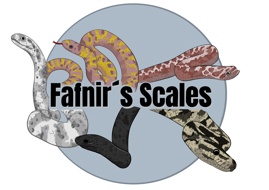Marcel - Fafnir's Scales