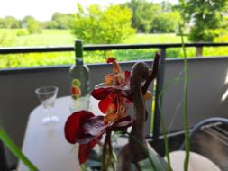 Ferienwohnung Friesoythe