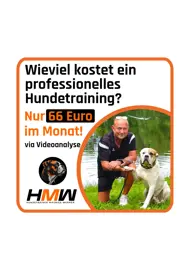 Hundetrainer Maurice Werner