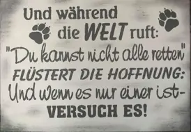 AikO die Hunderetter
