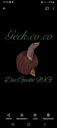 Geck.co.co 