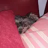 Sabine