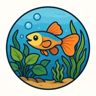 FairFisch