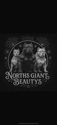 Northsgiantbeautys