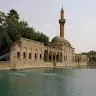Mazlum Kanarya