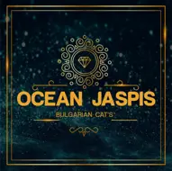 OCEAN JASPIS CATTERY 