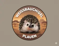 Weissbauchigel-Plauen 