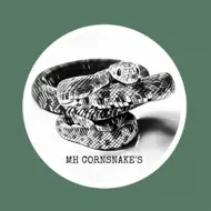 MHCornsnakes