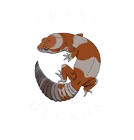Smartgeckos