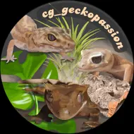 CG_Geckopassion