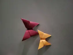 Sternenjenny 