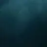 D D D