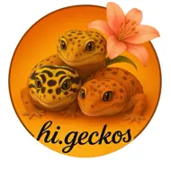 hi.geckos