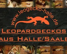 www.Leogecko-Halle.de