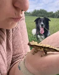 pawsandcreepycrawlers