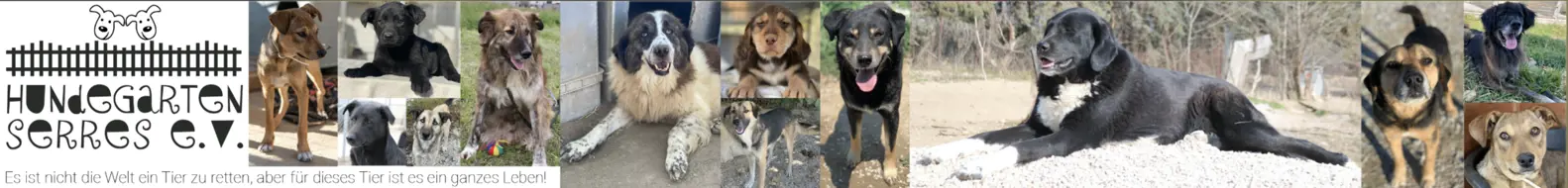 Hundegarten Serres e.V.