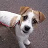 Carlos