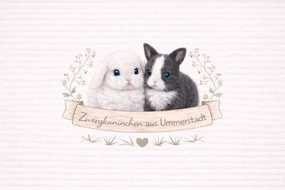 Zwergkaninchen aus Ummerstadt