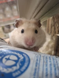 Zoo Gräber Altötting 