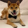 MarekBerlin