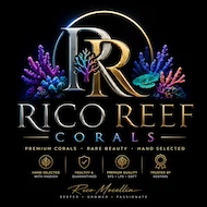 CORAL-FRAG'S