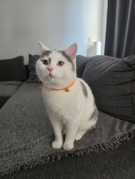 Anja-Leo&Luna