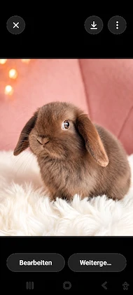 Hoppler