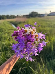 Heimwiese.de