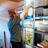 KS_ Reptiles